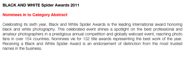 BLACK AND WHITE Spider Awards 2011

Nominees in to Category Abstract

Celebrating its sixth year, Black and White Spider Awards is the leading international award honoring black and white photography. This celebrated event shines a spotlight on the best professional and amateur photographers in a prestigious annual competition and globally webcast event, reaching photo fans in over 154 countries. Nominees vie for 132 title awards representing the best work of the year. Receiving a Black and White Spider Award is an endorsement of distinction from the most trusted names in the business.
http://www.thespiderawards.com/gala/index.php