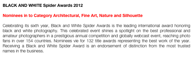 BLACK AND WHITE Spider Awards 2012

Nominees in to Category Architectural, Fine Art, Nature and Silhouette

Celebrating its sixth year, Black and White Spider Awards is the leading international award honoring black and white photography. This celebrated event shines a spotlight on the best professional and amateur photographers in a prestigious annual competition and globally webcast event, reaching photo fans in over 154 countries. Nominees vie for 132 title awards representing the best work of the year. Receiving a Black and White Spider Award is an endorsement of distinction from the most trusted names in the business.
http://www.thespiderawards.com/gala/index.php